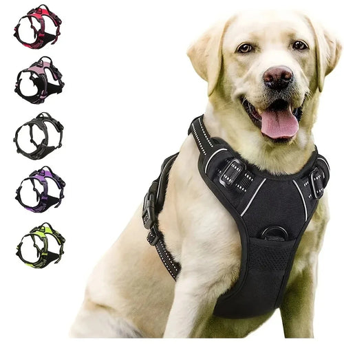 Premium Leather Dog Harness Set – Adjustable Collar, Leash Harness for Small, Medium  Large Dogs (S-XL)