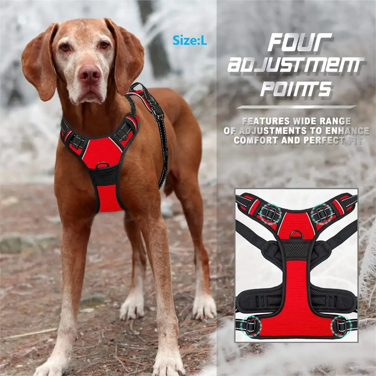 Premium Leather Dog Harness Set – Adjustable Collar, Leash Harness for Small, Medium  Large Dogs (S-XL)