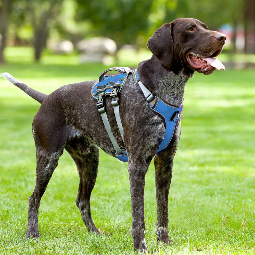 Adjustable Reflective Dog Harness for Large Dogs