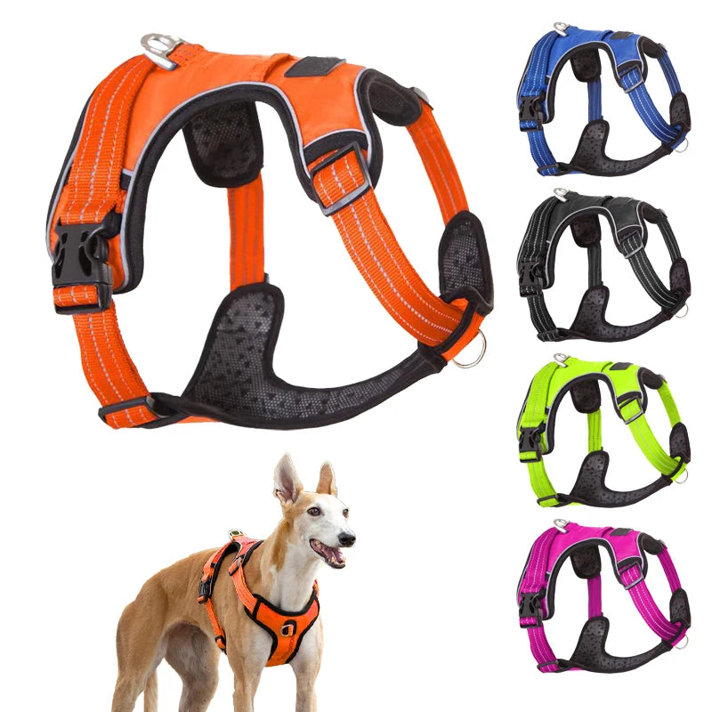 High-Quality Adjustable Pet Dog Harness & Collar for Training and Protection