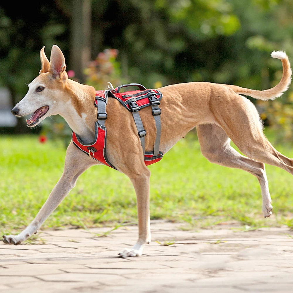 Adjustable Reflective Dog Harness for Large Dogs