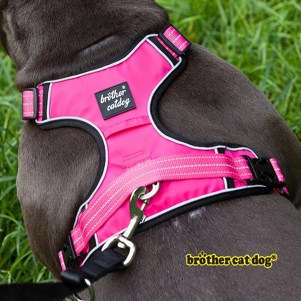 High-Quality Adjustable Pet Dog Harness & Collar for Training and Protection