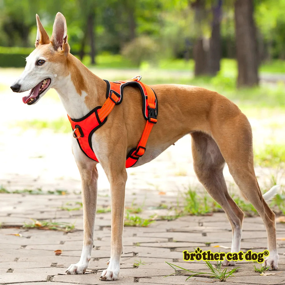 High-Quality Adjustable Pet Dog Harness & Collar for Training and Protection