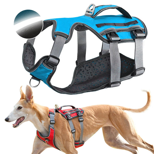 Adjustable Reflective Dog Harness for Large Dogs