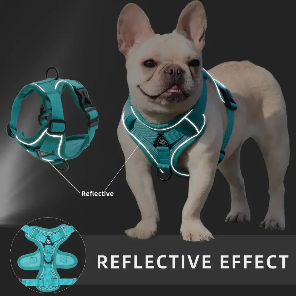 Adjustable No-Pull Dog Harness & Leash Set – Secure, Reflective & Comfortable for Small and Medium Pets