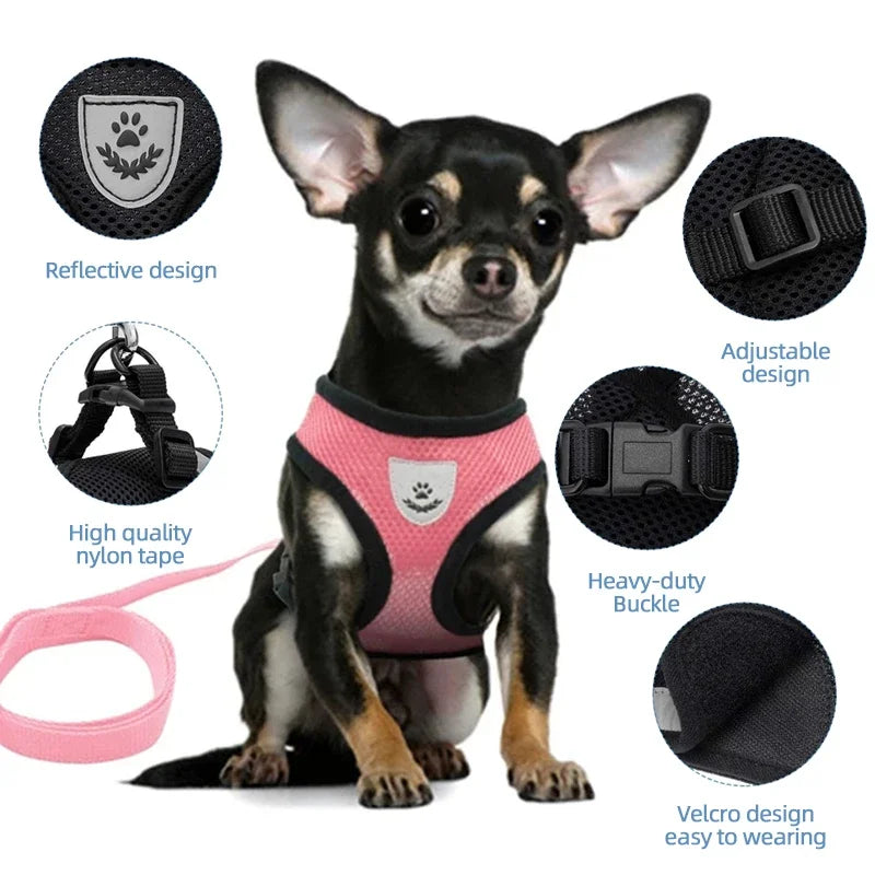 Breathable & Reflective Cat & Dog Harness – Adjustable Mesh Vest with Leash for Small Pets