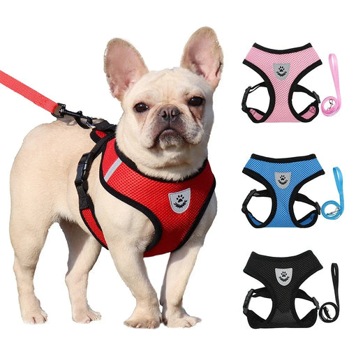 Breathable & Reflective Cat & Dog Harness – Adjustable Mesh Vest with Leash for Small Pets