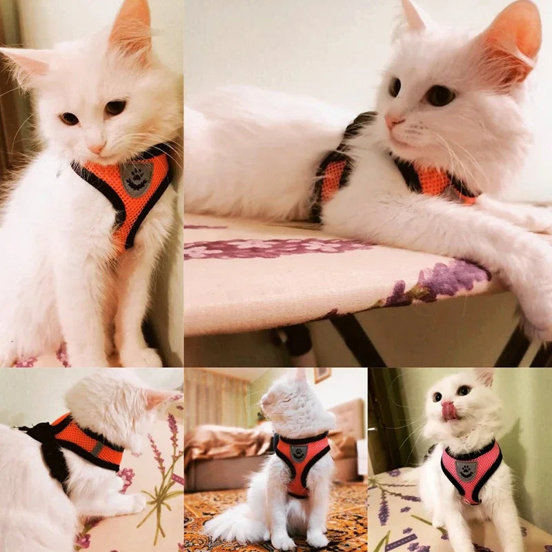 Breathable & Reflective Cat & Dog Harness – Adjustable Mesh Vest with Leash for Small Pets