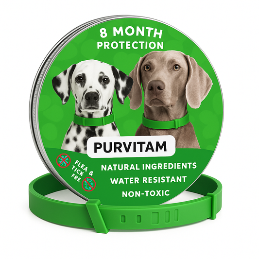 Collier anti-puces et anti-tiques pour petits chiens – Jusqu'à 8 kg – Protection 8 mois