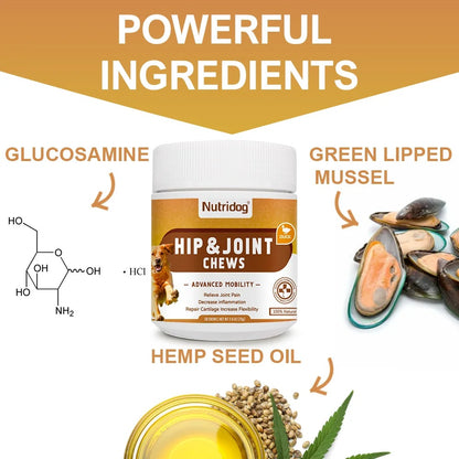 Hip & Joint Support Chews for Dogs – Glucosamine, Chondroitin, MSM & Omega-3 – Mobility & Flexibility Supplement